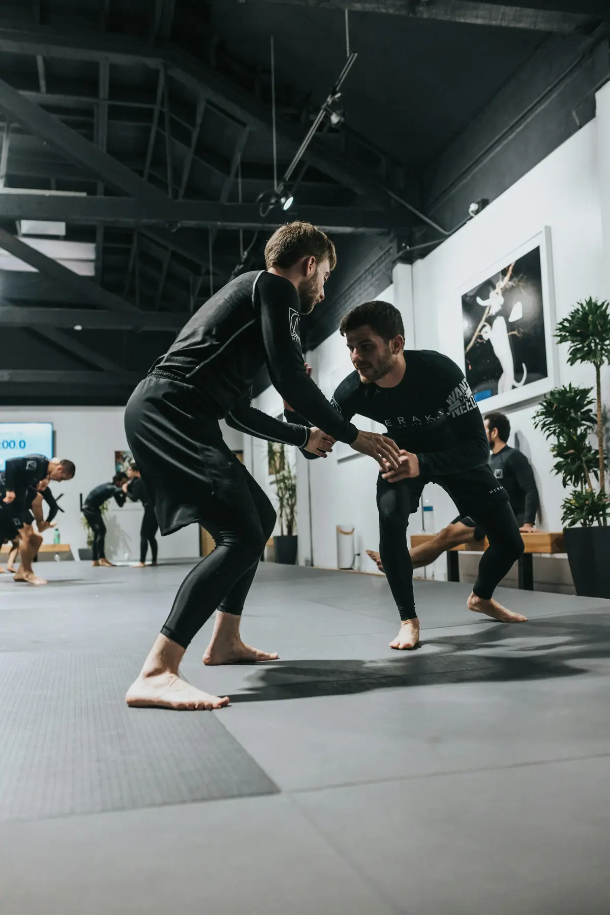 A wrestling drill in a bright gym
